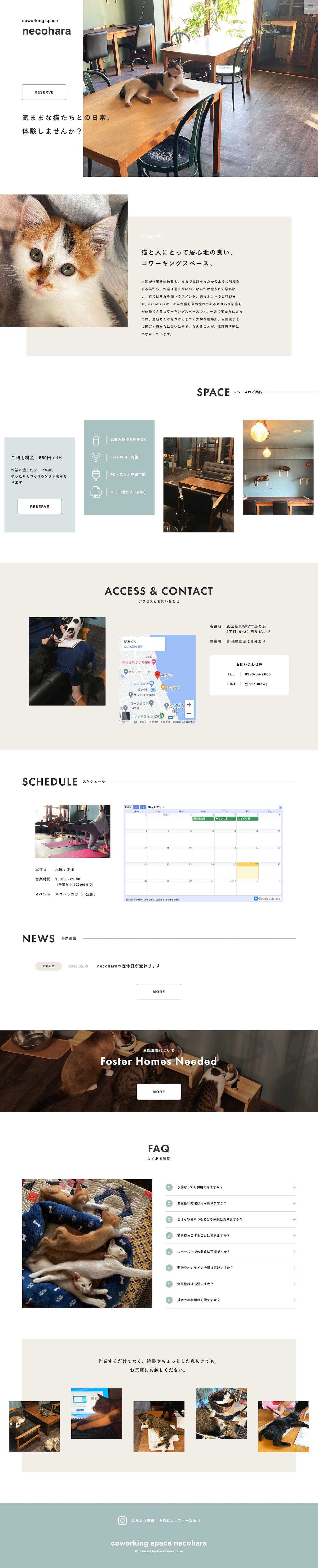 necoharaのデザインカンプ(PC)
